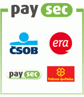 Ikona PaySec