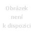 Vyšetření zraku